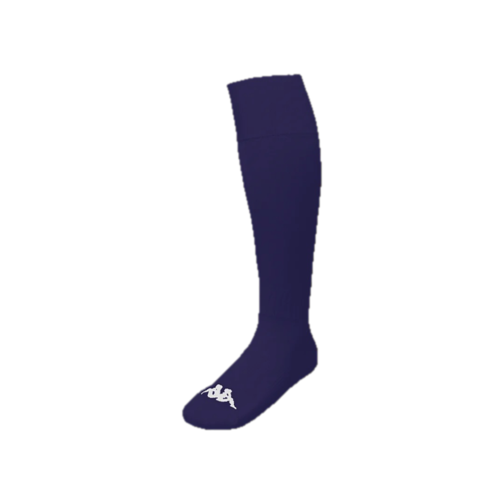 Chaussettes classiques LYNA UNISEX Licence